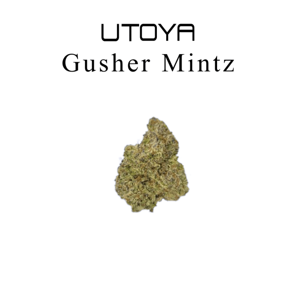 Gusher Mintz THCA Flower