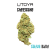 Cheesecake THCH Flower