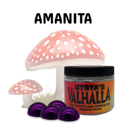 Buy Amanita Mushroom Chocolates Wholesale