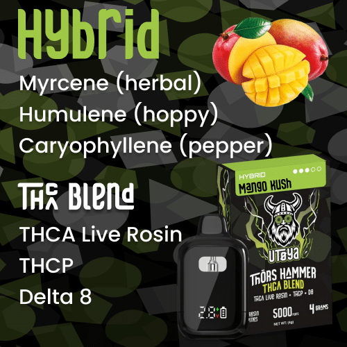 Hybrid THCA Disposable Vape Wholesale