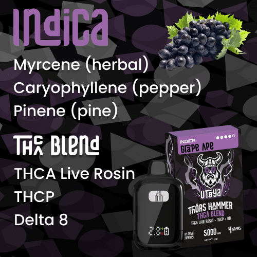 Indica THCA Disposable Vape Wholesale