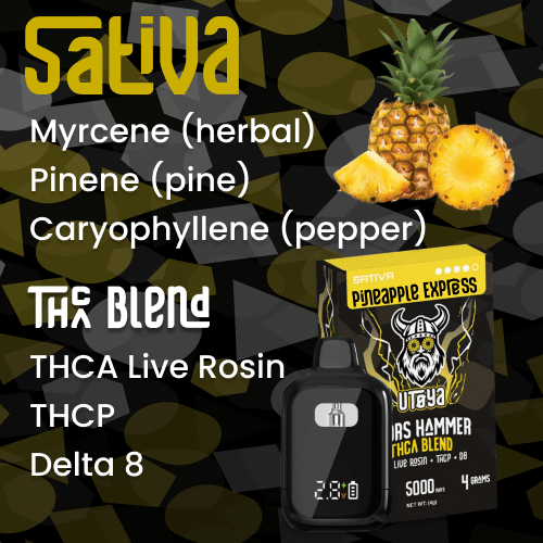 Sativa THCA Disposable Vape Wholesale