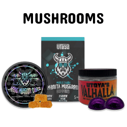 Buy Magic Mushroom Gummies
