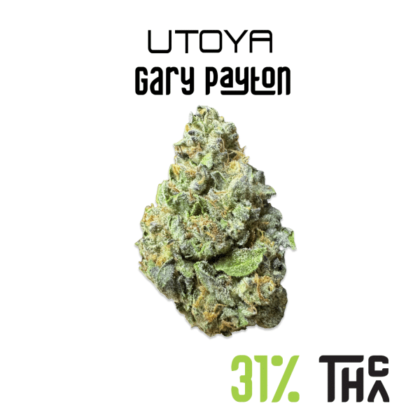 Gary Payton THCA Flower