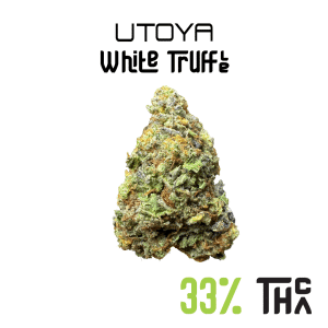 White Truffle THCA Flower