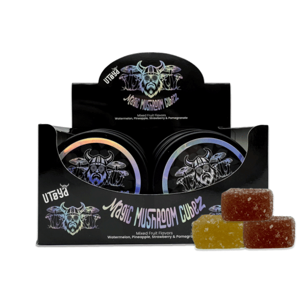 Magic Mushroom Cubez Gummies Display Box