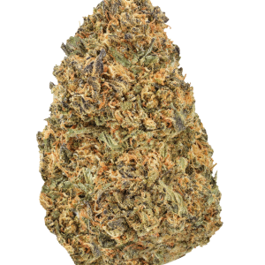 Archive Runtz THCA Flower | Exotic