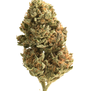 White Gummies THCA Flower | Exotic