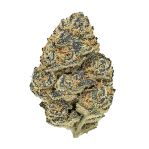 Gas Can THCA Flower | Indoor