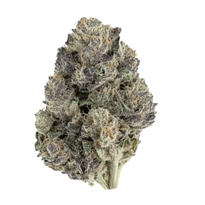 Cherry Zlushie THCA Flower | Exotic