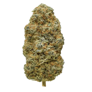 Illuminati THCA Flower | Light Assist