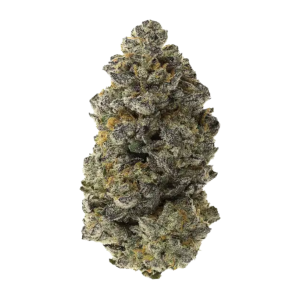 Pink Runtz THCA Flower | Exotic