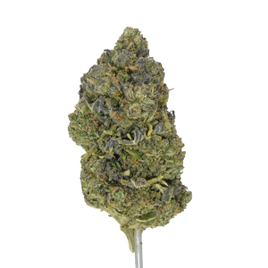 Venom Runtz THCA Flower | Exotic